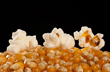 Image showing Corn and popcorn