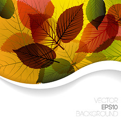 Image showing Autumn abstract floral background 