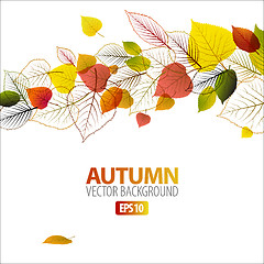 Image showing Vector Autumn abstract floral background