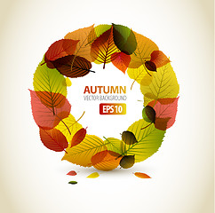 Image showing Autumn abstract floral background 