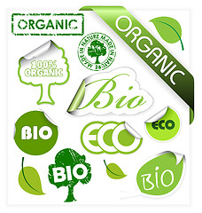 Image showing Set of bio, eco, organic elements 