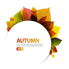 Image showing Autumn abstract floral background 