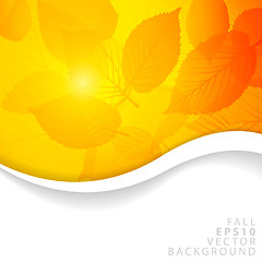 Image showing Vector Autumn yellow abstract floral background 