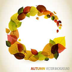 Image showing Autumn abstract floral background 