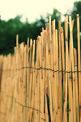 Image showing Straw fence closeup shot