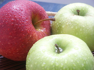 Image showing Apples