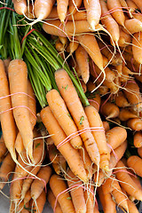 Image showing Freshly Picked Bunches of Organic Carrots