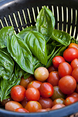 Image showing Fresh Tomatoes and Basil