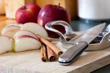 Image showing Apple Slices and Cinnamon Sticks