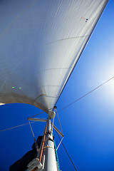 Image showing Looking up at sails and mast of boat / yachting