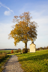 Image showing autumn scenery