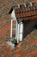 Image showing Window with flowers