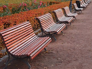 Image showing Park Benches