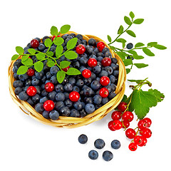 Image showing Blueberries with red currants