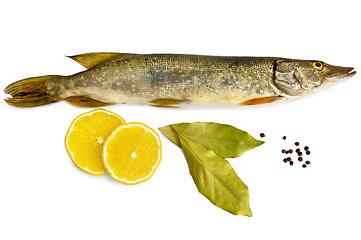 Image showing Fresh pike with lemon