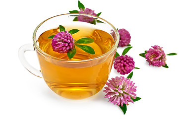 Image showing Herbal teas with clover in a glass cup