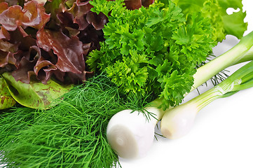 Image showing Spicy greens with salad and onion