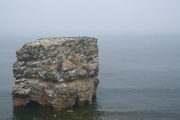 Image showing Marsden Rock