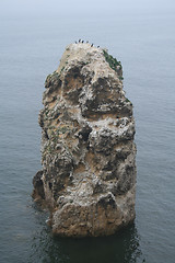 Image showing Marsden rock 2