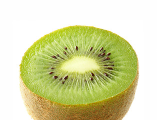 Image showing Kiwi