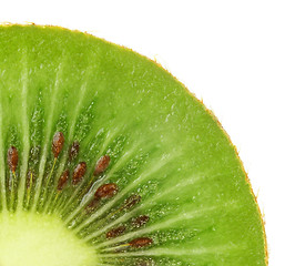 Image showing Kiwi