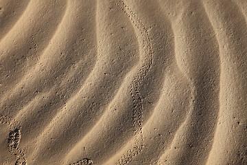 Image showing Wind textures on sand in Sahara