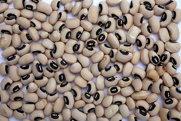 Image showing White beans