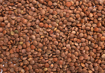 Image showing Brown Lentils 