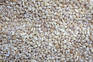 Image showing Pearl Barley