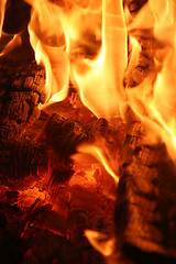 Image showing Burning fire close-up