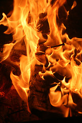 Image showing Burning fire close-up