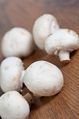 Image showing Mushrooms