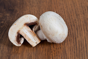 Image showing Mushrooms