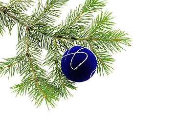 Image showing Christmas branch fur-tree with boll 