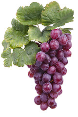 Image showing red wine grape, isolated 