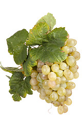 Image showing white  grape, isolated