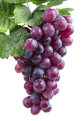 Image showing red wine grape, isolated