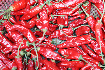 Image showing Hot peppers