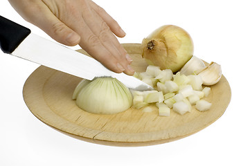 Image showing onion3