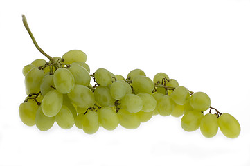 Image showing grapes1