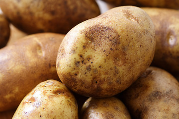 Image showing Potatoes