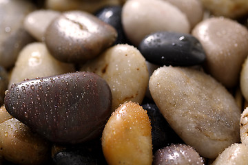 Image showing River rocks