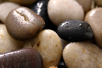 Image showing River rocks