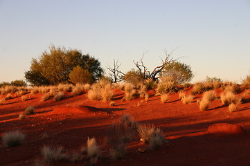 Image showing outback