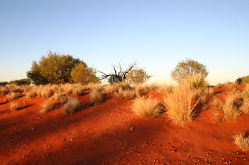 Image showing outback