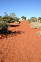 Image showing outback