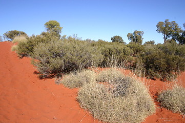 Image showing outback