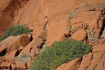 Image showing ayers rock