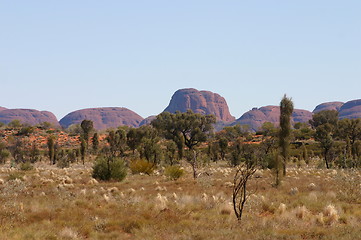 Image showing the olgas