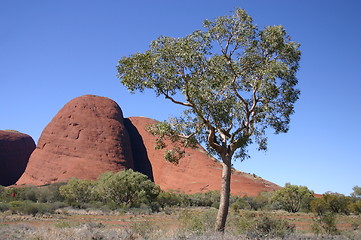 Image showing the olgas